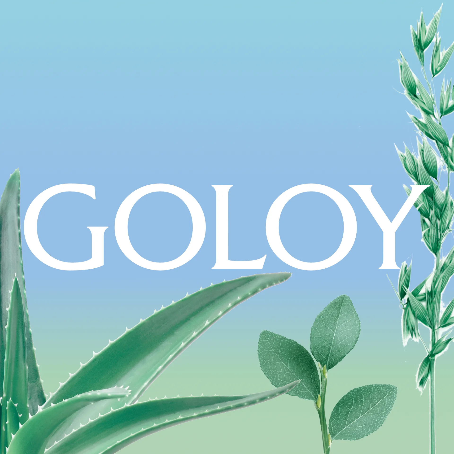 Goloy Face Cream Intense Themenkarte Goloy Face Cream Intense