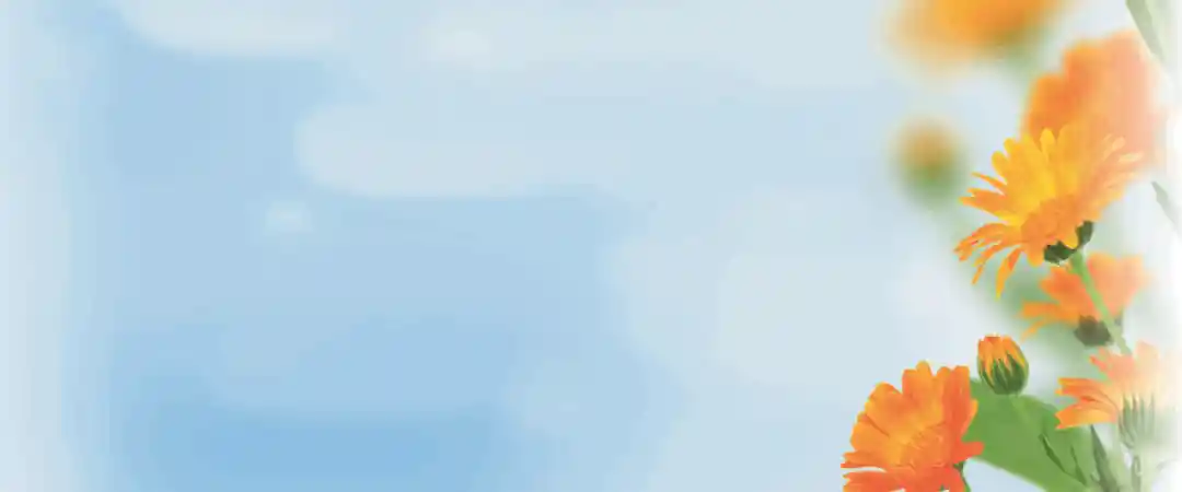 Calendula Cream Via Nova Calendula Cream